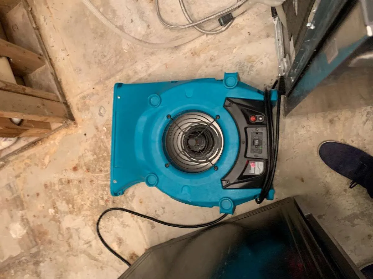 Air mover drying equipment for Mold Remediation & Removal in Sartell